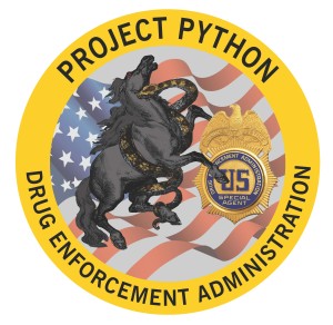 Project Python