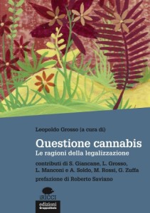 questione-cannabis-320x456